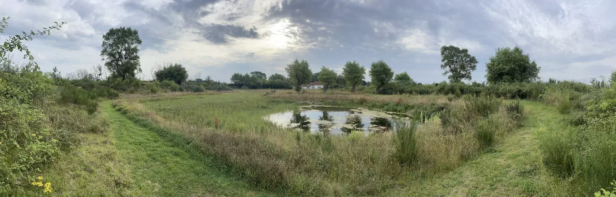 Duurzaam boombeheer langs waterkant door BOOM! in Sint-Andries – foto 4
