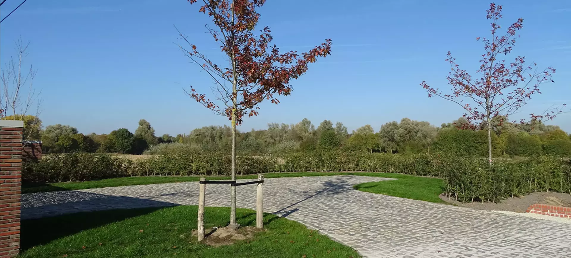 Landschapstuin met jonge aanplant ontworpen door Olivier Schreurs – foto 3