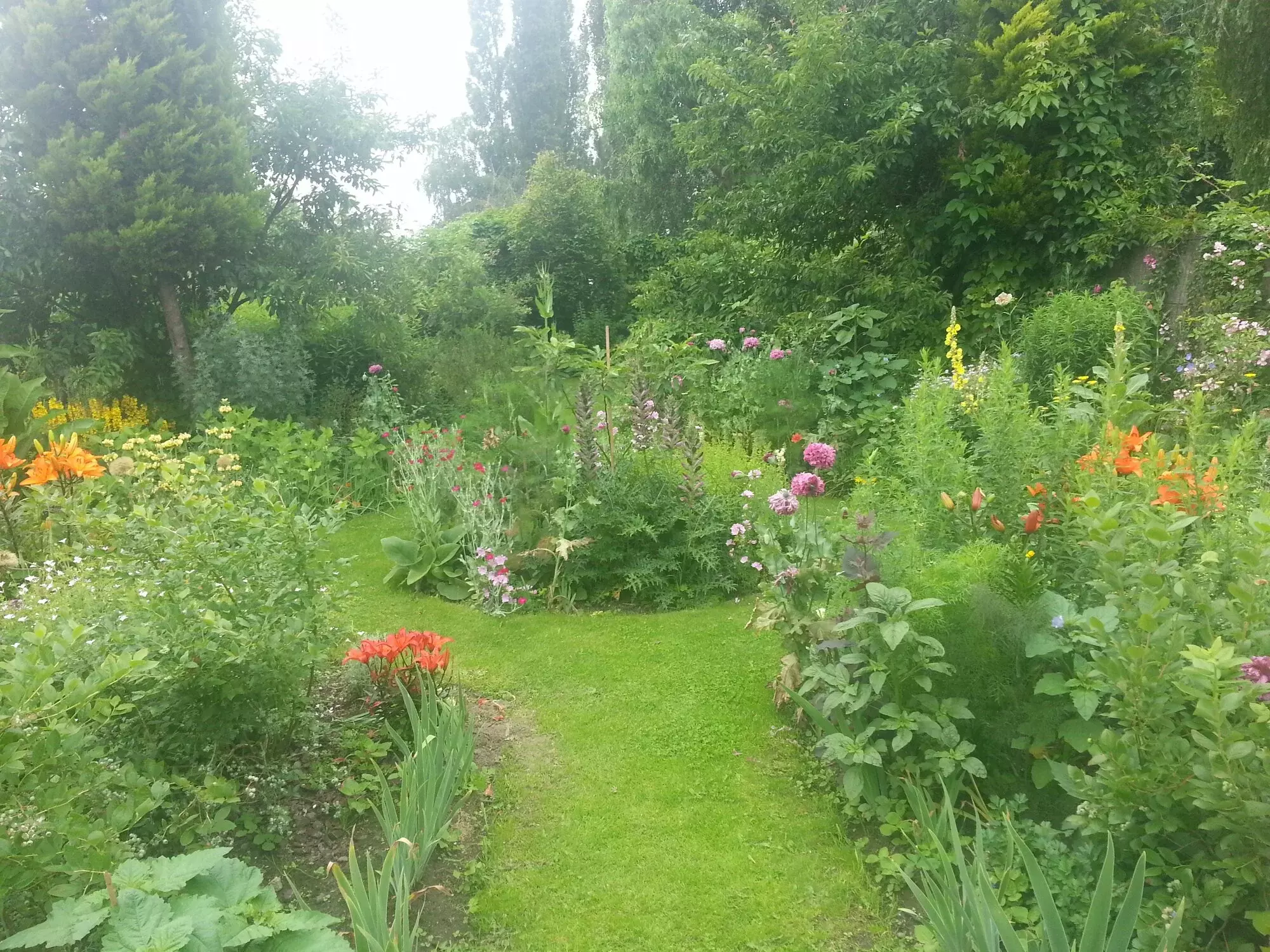 Permacultuur – foto 5
