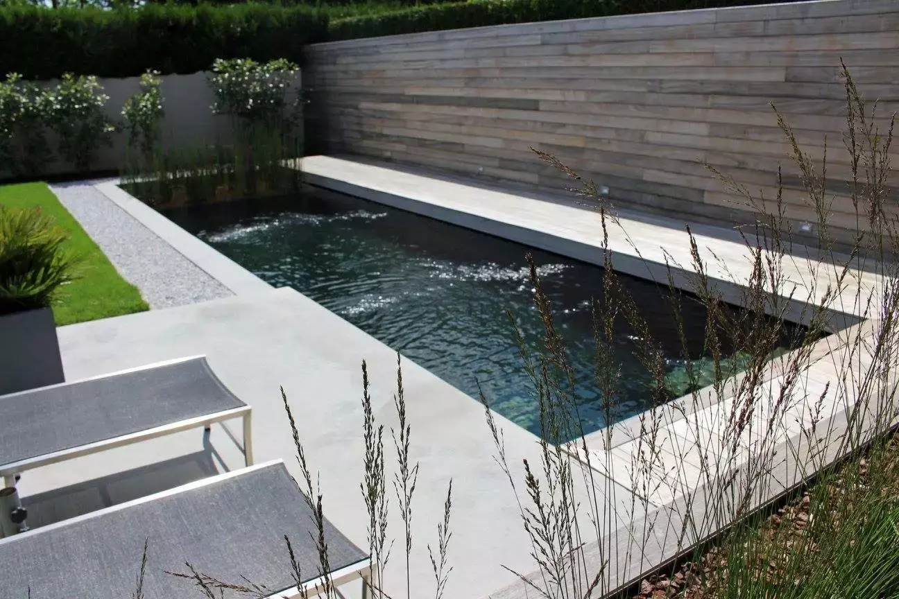 Architecturaal zwembad met moderne beplanting door Concept Gardens – foto 1