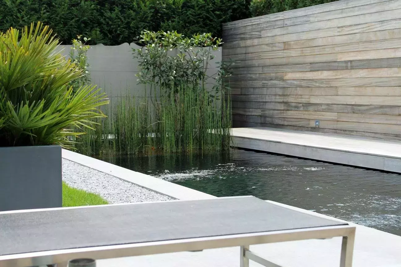Architecturaal zwembad met moderne beplanting door Concept Gardens – foto 3