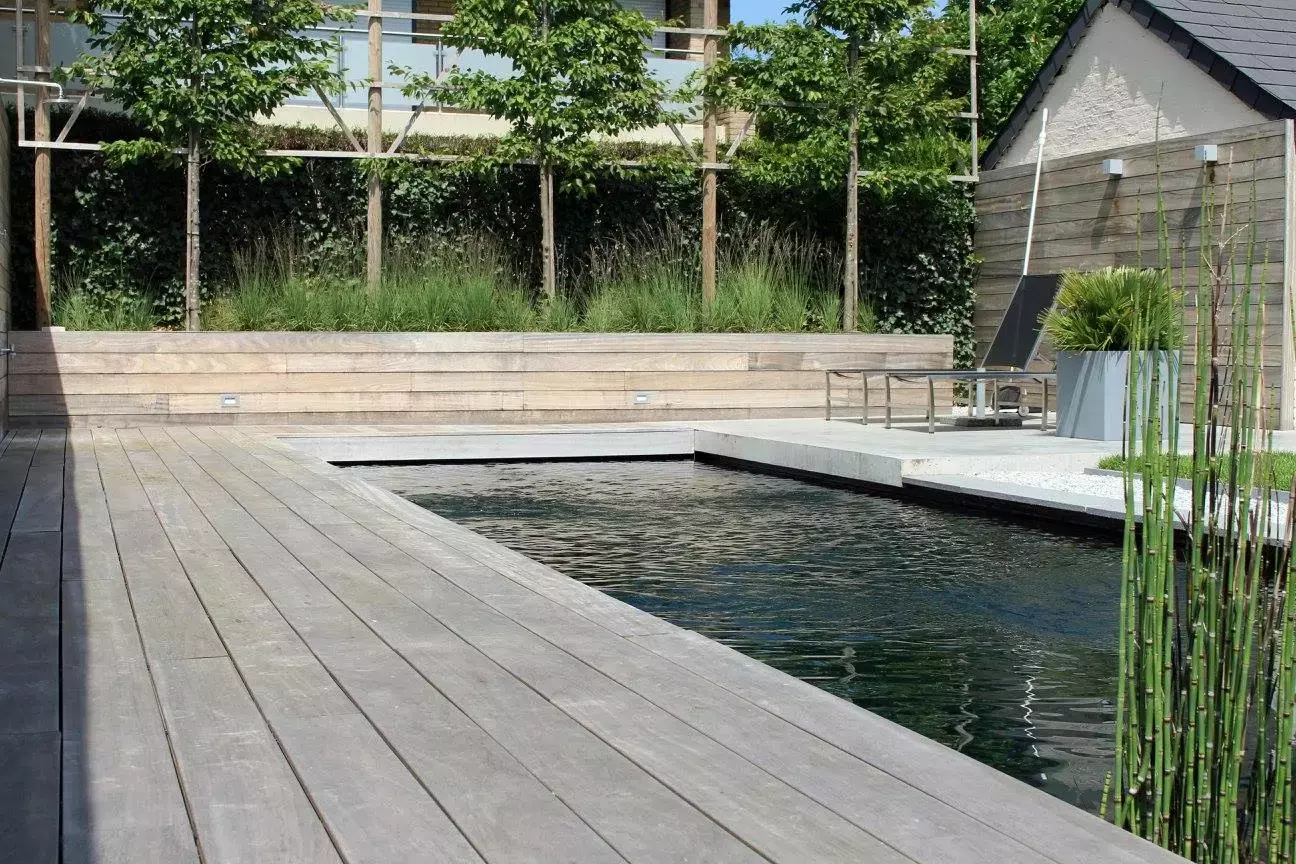 Architecturaal zwembad met moderne beplanting door Concept Gardens – foto 4
