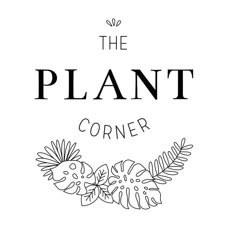 The Plant Corner