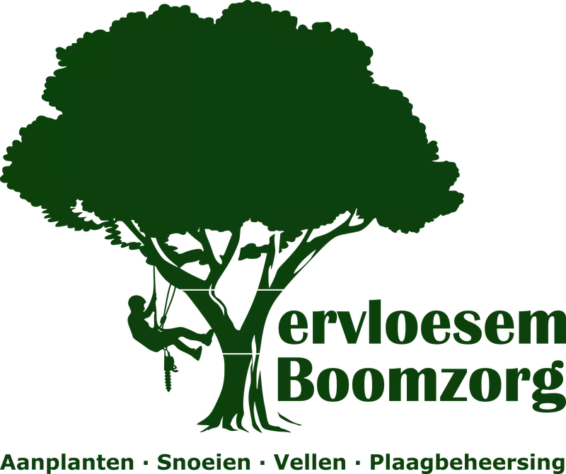 Vervloesem Boomzorg