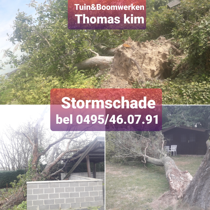 Thomas Kim
