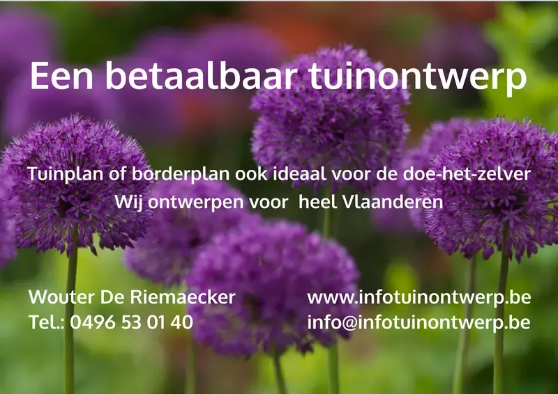 De Riemaecker