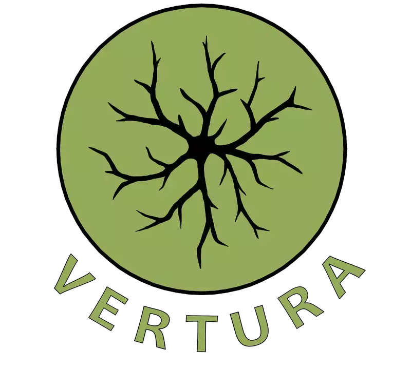 Vertura